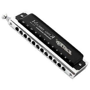 EASTTOP东方鼎T1248K金色梦想者12孔半音阶口琴专业演奏初学C调