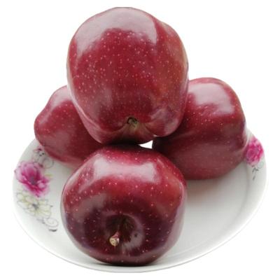 天水市花牛苹果新鲜采摘香甜可口