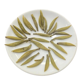 福建胚白毫银针特级11窨金针王茉莉花茶香气鲜灵冰糖甜自饮2025新