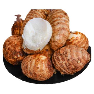 云南现挖高山牛奶小芋头