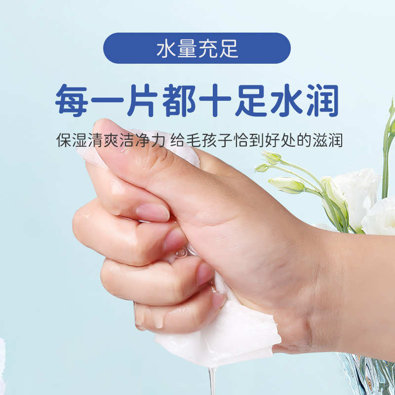 宠物湿巾猫咪狗狗专用清洁去泪痕除臭擦脚免洗清洁用品湿纸巾皮肤