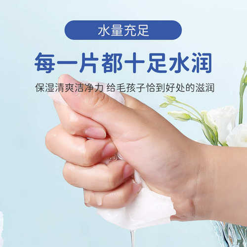 宠物湿巾猫咪狗狗专用清洁去泪痕除臭擦脚免洗清洁用品湿纸巾皮肤