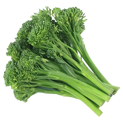 耐寒早熟西兰苔菜苗秋冬蔬菜秧苗