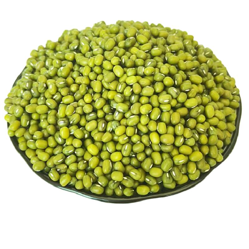 发豆芽专用绿豆生绿豆芽豆种子