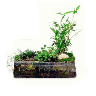 浮萍一叶莲碗莲睡莲花盆水培植物无孔花盆铜钱草水仙仿古创意花盆