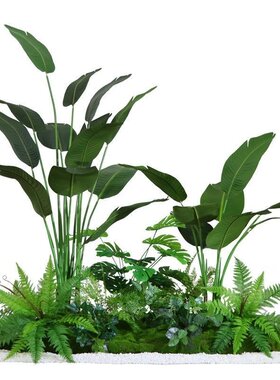 仿真植物南天竹盆栽假绿