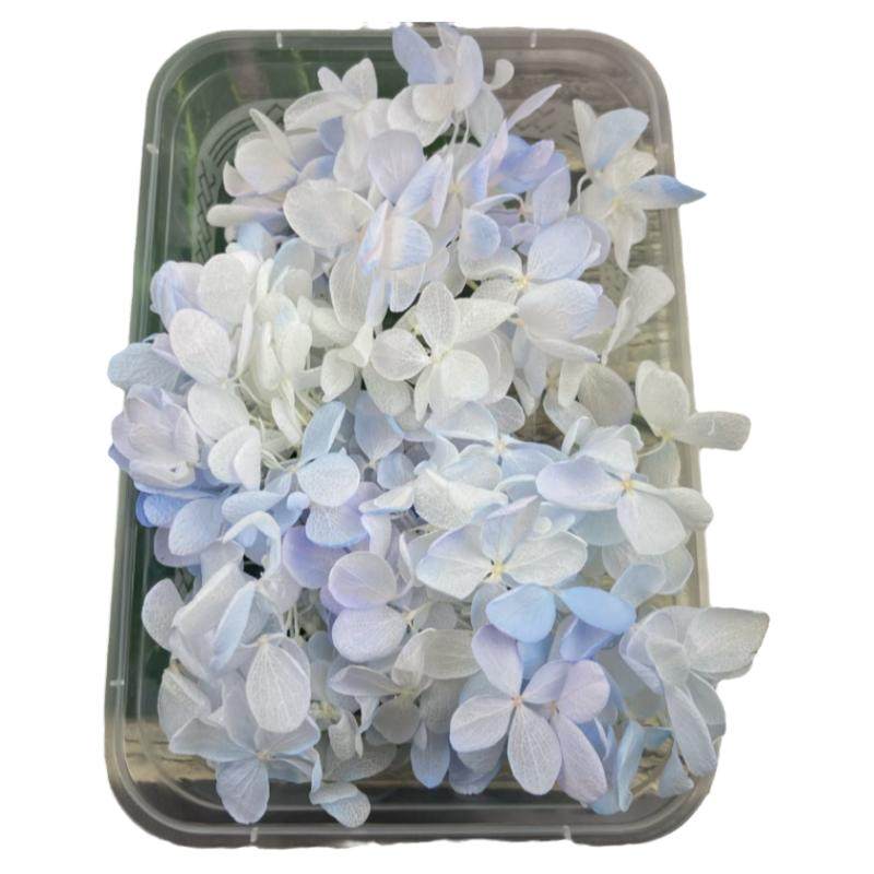 人鱼姬绣球花瓣永生花diy暴力熊