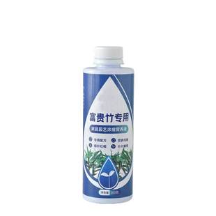 富贵竹专用营养液水培治黄叶促生根观音竹盆栽通用肥料植物园艺