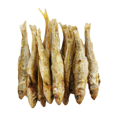 石斑鱼江西溪沙沟白条
