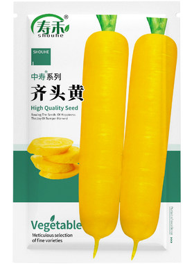 黄色胡萝卜种子高产甜脆夏秋播种