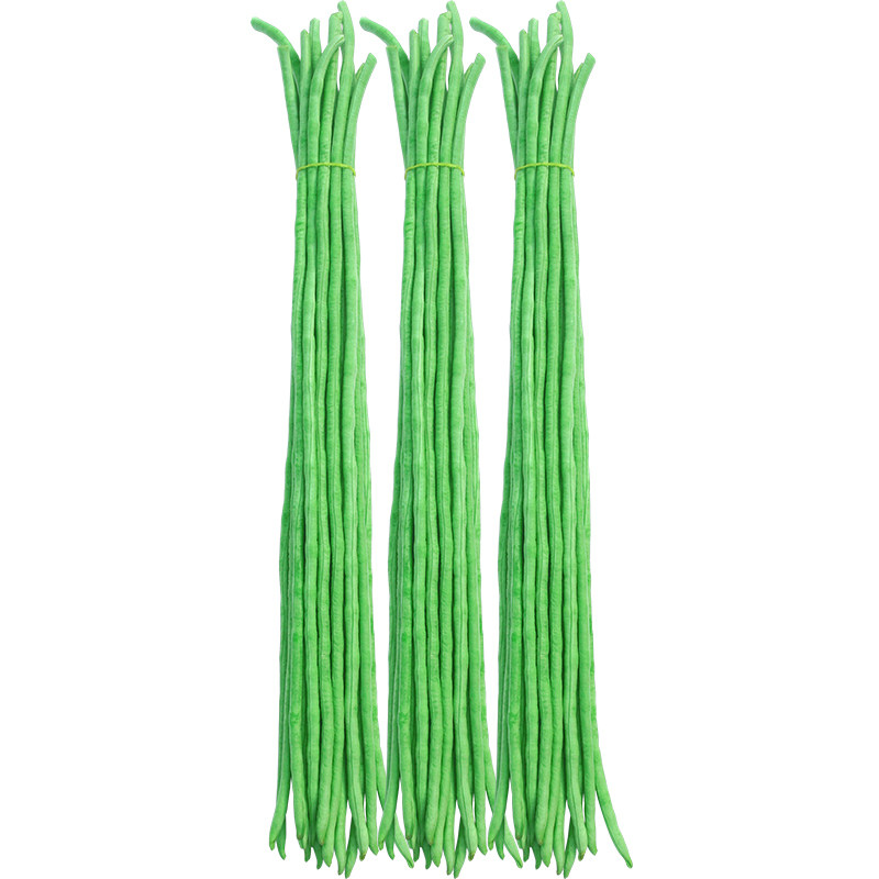 春秋长豇豆种子苗秧长豆角种籽四季豆春季阳台种植蔬菜籽种孑大全