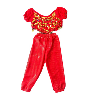 印度舞服装天竺少女短袖舞蹈服新疆肚皮舞雪纺裙套装西域风情女装