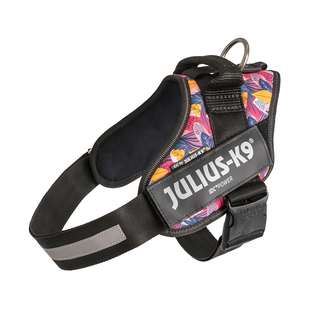 juliusk9胸背2023限量新花色中大小型犬遛狗防爆冲背心式宠物用品