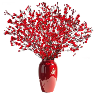 澳洲腊梅鲜花水培鲜枝干枝真花年宵花卉室内过年花冬季蜡梅鲜切花