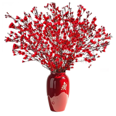 澳洲腊梅鲜花水培鲜枝真花年宵花