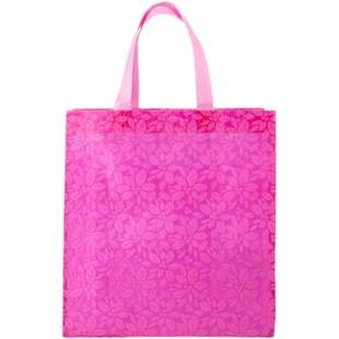 精致手提袋ins风礼品袋手提高档无纺布袋大号小清新红色礼物袋子