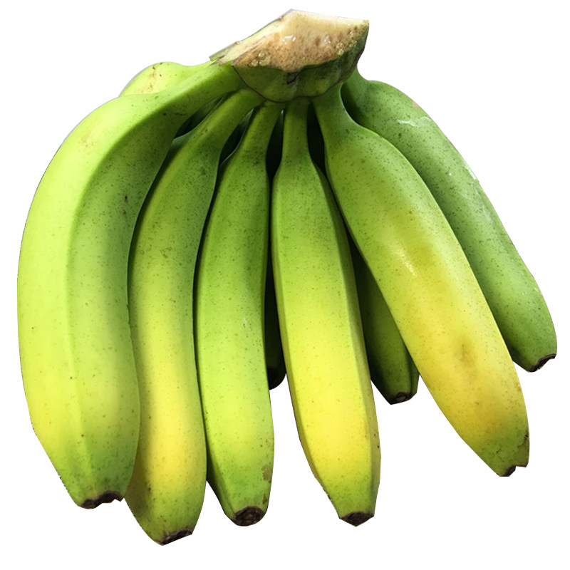 包邮香蕉banana广东高州新香蕉