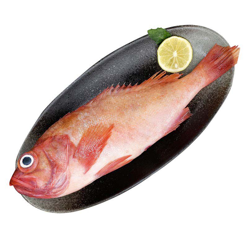 海味轩鲜红大眼水产长寿