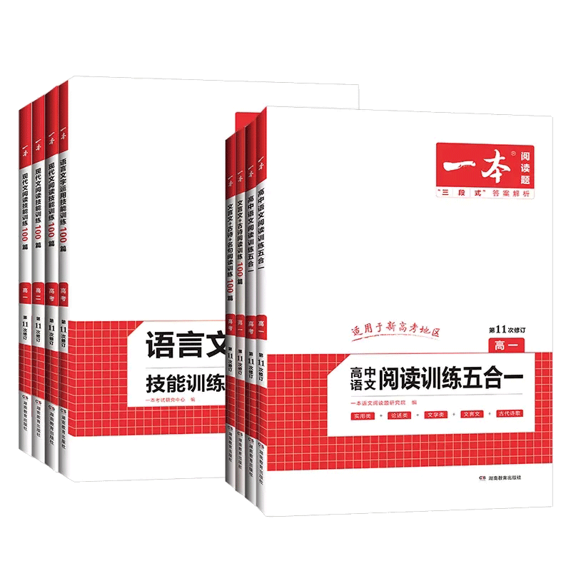 一本阅读语文高中专项训练