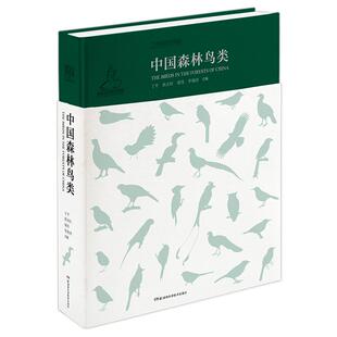 中国森林鸟类 湖南科技出版社 野鸟形态动物图鉴科普 1000余种中国森林鸟类 野生鸟类大全中国野生鸟类大百科书籍