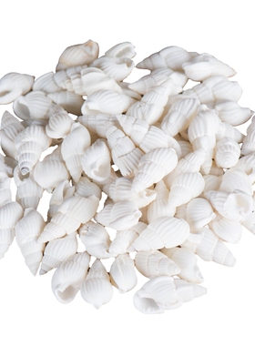 佛塔宝瓶天然七宝石小海螺