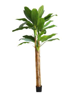 仿真芭蕉树仿生香蕉树植物盆栽