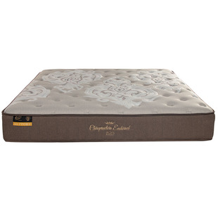 美国金可儿床垫专家之选125周年纪念款 护脊弹簧施瓦辛格同款28cm