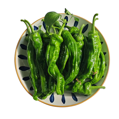 鲜代旺小皱皮螺丝椒薄皮特辣