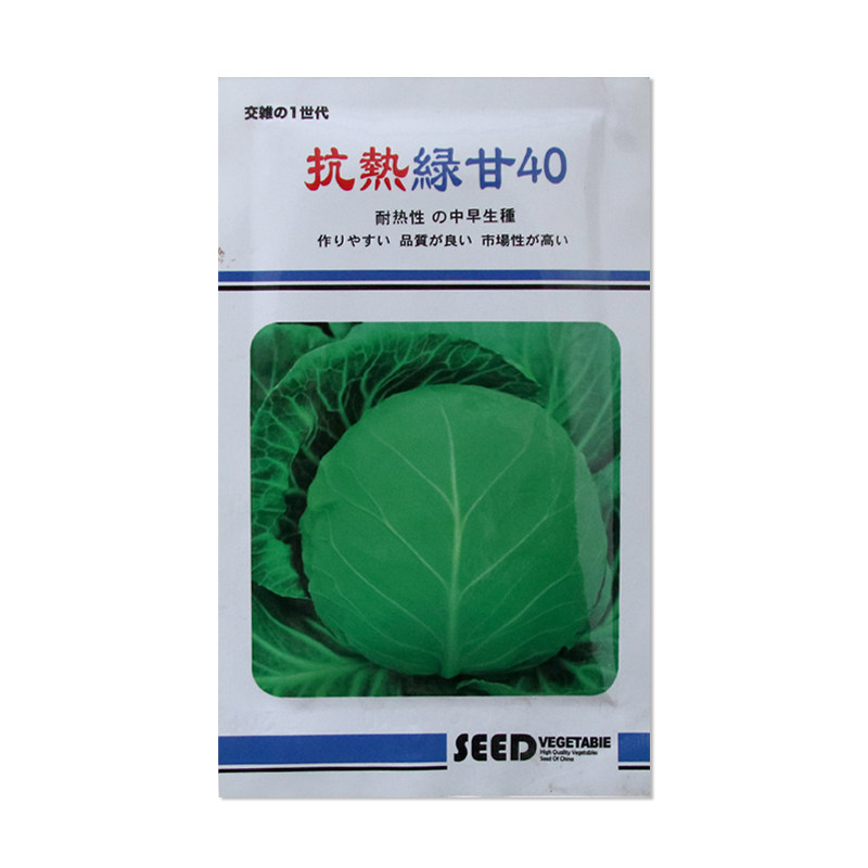 璐通抗热绿甘40甘蓝种子