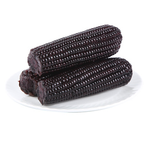 禾田粒东北黑糯玉米含花青素大棒低脂代餐粗粮新鲜甜糯粘黄糯玉米