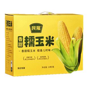 民隆甜糯玉米玉米棒新鲜香黏黏玉米营养早餐代餐粗粮巴彦淖尔