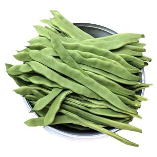 宽扁芸豆种子三扁架豆无筋扁豆芸豆种籽大刀豆种春秋四季蔬菜种孑