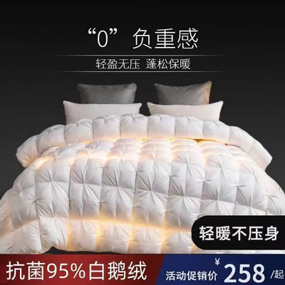 希尔顿羽绒被95白鹅绒加厚保暖冬被酒店单双人家用宿舍鹅绒被子芯