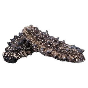 弹牙即食海参长岛深海即食海参鲜活生鲜食刺参10只500g顺丰发货