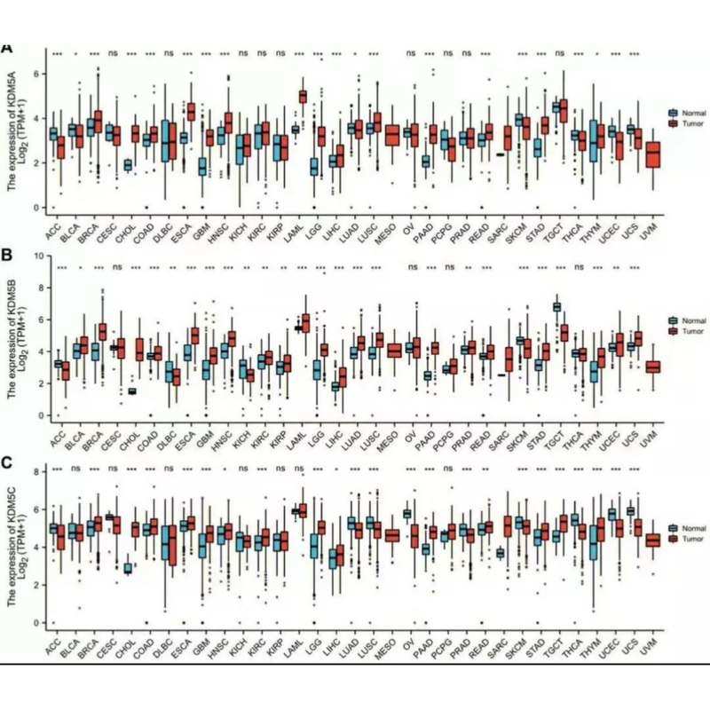 单细胞测序分析 生信分析 TCGA/GEO数据库挖掘生信可视化绘图