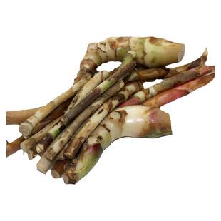 鲜春砂仁根段500g正宗阳春特产野生砂仁根食疗养胃砂仁头煲汤原料