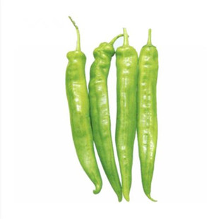 蟋蟀牌瑞拉羊角椒种子尖椒种籽春秋冬辣椒种籽四季蔬菜籽禾之元夏