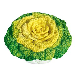黄心乌菜种种子种籽乌塌菜雪里金花青菜蔬菜孑白菜黑菜乌塔菜菜籽