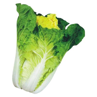 黄心大白菜种籽鸡蛋黄冬抗病高产