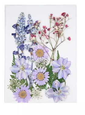 美沐儿DIY手作压花干花材料包