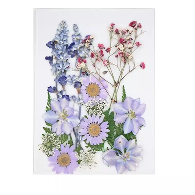 美沐儿DIY手作压花干花材料包