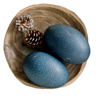 【精品空蛋壳】精品鸸鹋蛋壳雕刻空蛋壳新鲜澳洲鸵鸟蛋壳蛋雕包邮