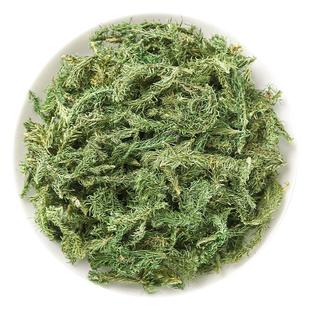 伸筋草中药材500克正品旗舰店野生小伸筋草中药透骨草白芥子泡脚