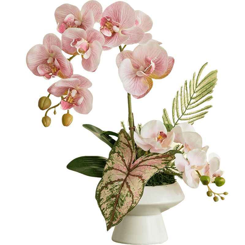 中式蝴蝶兰盆栽仿真花手感假花逼真花卉盆景绿植客厅餐桌装饰摆件