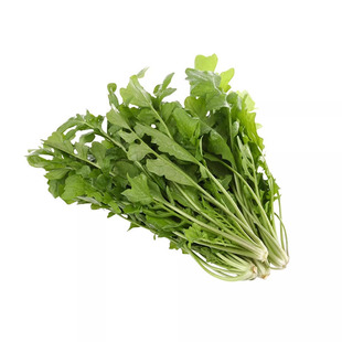 野生荠菜种子地菜种苗荠菜种籽秋冬四季耐热野菜青菜农家阳台蔬菜