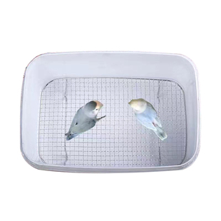 鹦鹉饲养盒奶粉盒垫网片手养鸟雏鸟幼鸟饲养盒鹦鹉奶粉盒专用网片