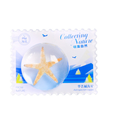 千千谷自然标本系列冰箱贴