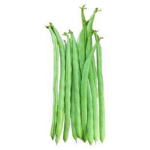 四季豆种孑有架爬藤扁豆种籽无筋豆苗秧高产春季农家阳台蔬菜种子