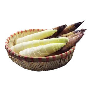 新鲜山笋春笋当天现挖农家自然笋当季野生春笋中号5斤