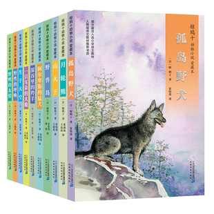 椋鸠十动物小说全集10册沈石溪孤岛野犬月轮熊山大王野鸭的友情小学生儿童文学读物书单阅读六年级耳朵课外书书籍出版社故事书天空